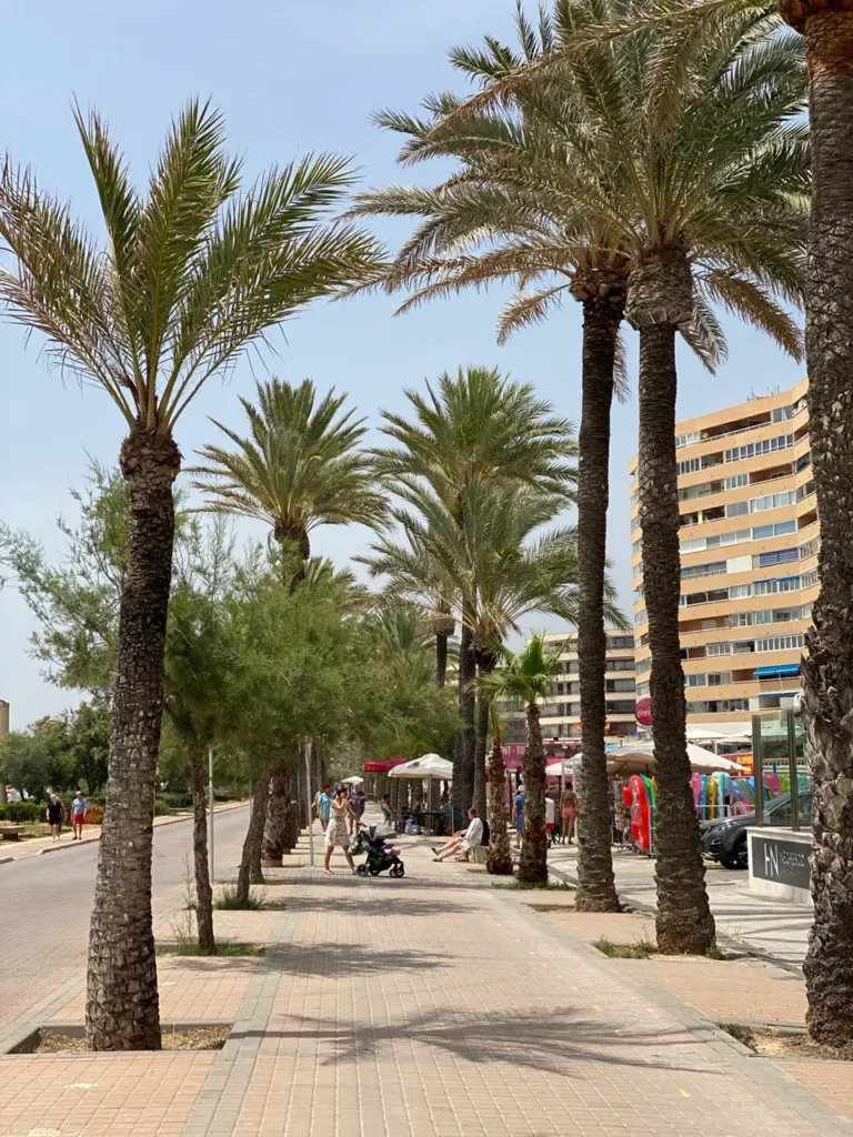 ibiza car hire airport